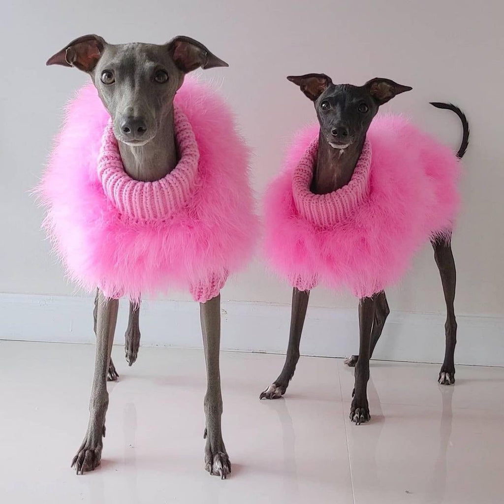 Dog Sweater with Ribbed Turtleneck and Fluffy Faux Fur for Small to Big - Image 1